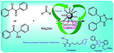 Graphical abstract: Graphene oxide–chitosan bionanocomposite: a highly efficient nanocatalyst for the one-pot three-component synthesis of trisubstituted imidazoles under solvent-free conditions