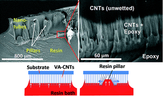 Graphical abstract: Control and modelling of capillary flow of epoxy resin in aligned carbon nanotube forests