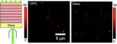 Graphical abstract: Bloch surface wave-coupled emission from quantum dots by ensemble and single molecule spectroscopy