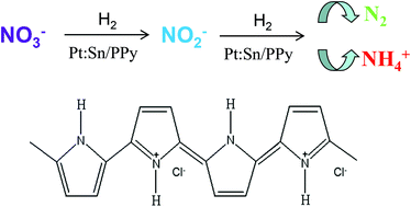 Graphical abstract: Green synthesis of polypyrrole-supported metal catalysts: application to nitrate removal in water