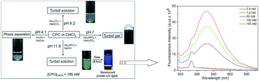 Graphical abstract: pH sensitive smart gels of cetylpyridinium chloride in binary solvent mixtures: phase behaviour, structure and composition