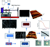 Graphical abstract: Metallization of electrospun PAN nanofibers via electroless gold plating