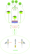 Graphical abstract: Optimized syringe-assisted dispersive micro solid phase extraction coupled with microsampling flame atomic absorption spectrometry for the simple and fast determination of potentially toxic metals in fruit juice and bio-fluid samples