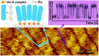 Graphical abstract: Ordering and dynamics of oligo(phenylene ethynylene) self-assembled monolayers on Au(111)