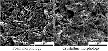 Graphical abstract: Nanocellular and needle-like structures in poly(l-lactic acid) using spherulite templates and supercritical carbon dioxide