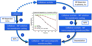 Graphical abstract: Routes towards catalytically active TiO2 doped porous cellulose