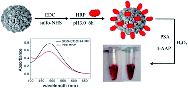 Graphical abstract: Spheres-on-sphere silica microspheres as matrix for horseradish peroxidase immobilization and detection of hydrogen peroxide