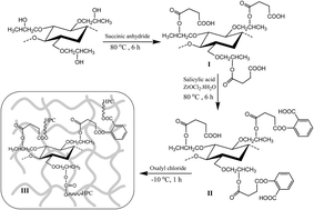 Graphical abstract: Multiple cross-linked hydroxypropylcellulose–succinate–salicylate: prodrug design, characterization, stimuli responsive swelling–deswelling and sustained drug release