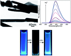 Graphical abstract: Facile synthesis of polyaniline/carbon dot nanocomposites and their application as a fluorescent probe to detect mercury