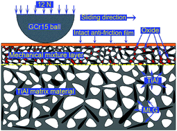 Graphical abstract: Tribological behavior of TiAl matrix self-lubricating composites reinforced by multilayer graphene