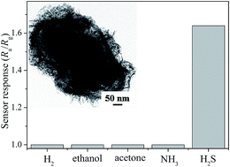 Graphical abstract: Synthesis and H2S sensing performance of MoO3/Fe2(MoO4)3 yolk/shell nanostructures