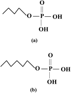 Graphical abstract: Spontaneous formation of mono-n-butyl phosphate and mono-n-hexyl phosphate thin films on the iron surface in aqueous solution and their corrosion protection property