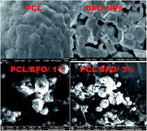 Graphical abstract: Solvent-free ring opening polymerization of ε-caprolactone and electrical properties of polycaprolactone blended BiFeO3 nanocomposites