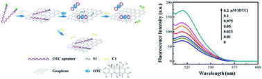 Graphical abstract: Fluorescent biosensor for sensitive analysis of oxytetracycline based on an indirectly labelled long-chain aptamer