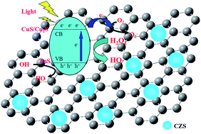 Graphical abstract: Synthesis of a flower-like CuS/ZnS nanocomposite decorated on reduced graphene oxide and its photocatalytic performance