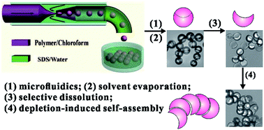 Graphical abstract: Preparation and assembly of concave polymer microparticles