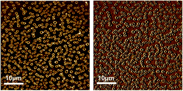 Graphical abstract: Synthesis of carbon microrings using polymer blends as templates