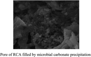 Graphical abstract: Modified recycled concrete aggregates for asphalt mixture using microbial calcite precipitation