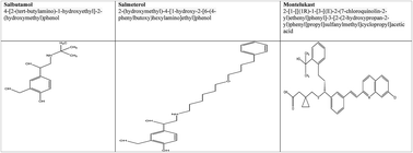 Graphical abstract: Preclinical appraisal of terbutaline analogues in precipitation of autism spectrum disorder