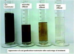 Graphical abstract: A high efficiency biological system for treatment of coal gasification wastewater – a key in-depth technological research