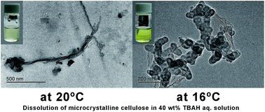 Graphical abstract: Improved dissolution of cellulose in quaternary ammonium hydroxide by adjusting temperature