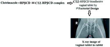 Graphical abstract: Design and optimization of clotrimazole–hydroxypropyl-β-cyclodextrin bioadhesive vaginal tablets using Anacardium occidentale gum by 32 factorial design