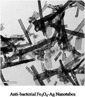 Graphical abstract: Synthesis, electron microscopy and anti-microbial properties of Fe3O4–Ag nanotubes