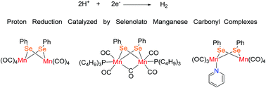 Graphical abstract: Electrochemical proton reduction catalysed by selenolato-manganese carbonyl complexes