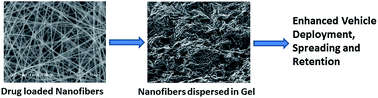 Graphical abstract: Design and development of a topical dosage form for the convenient delivery of electrospun drug loaded nanofibers