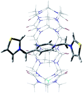 Graphical abstract: High-affinity host–guest complex of cucurbit[7]uril with a bis(thiazolium) salt