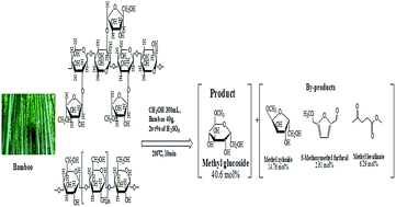 Graphical abstract: One-step method to produce methyl-d-glucoside from lignocellulosic biomass