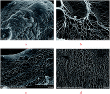 Graphical abstract: Preparation and characterization of a novel superabsorbent of konjac glucomannan-poly(acrylic acid) with trimethylolpropane trimethacrylate cross-linker