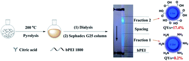 Graphical abstract: Identifying the existence of highly-fluorescent carboxylic group-rich carbon nanodots during a one-pot synthesis of branched polyethylenimine-passivated amine group-rich carbon nanodots