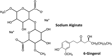 Graphical abstract: Effect of alginate coating enriched with 6-gingerol on the shelf life and quality changes of refrigerated red sea bream (Pagrosomus major) fillets