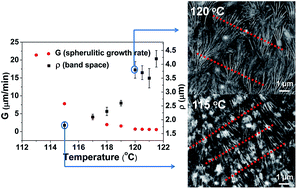 Graphical abstract: Formation of banded spherulites and the temperature dependence of the band space in olefin block copolymer