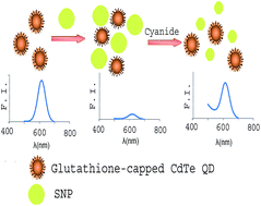 Graphical abstract: Label-free and turn-on fluorescent cyanide sensor based on CdTe quantum dots using silver nanoparticles