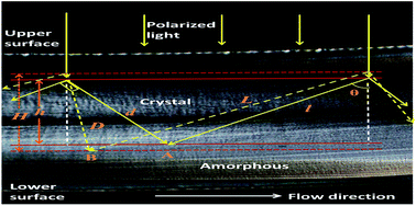 Graphical abstract: A novel morphology development of micro-injection molded isotactic polypropylene