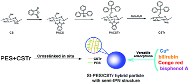 Graphical abstract: An in situ crosslinking approach towards chitosan-based semi-IPN hybrid particles for versatile adsorptions of toxins