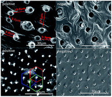 Graphical abstract: Designing environmentally benign modified silica resin coatings with biomimetic textures for antibiofouling