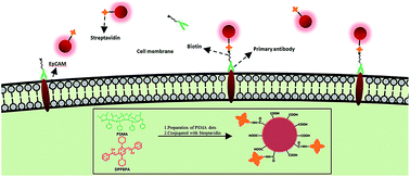 Graphical abstract: Highly efficient near-infrared organic dots based on novel AEE fluorogen for specific cancer cell imaging