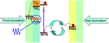 Graphical abstract: Alloying of platinum and molybdenum for transparent counter electrodes. A strategy of enhancing power output for bifacial dye-sensitized solar cells