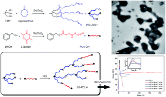 Graphical abstract: Biodegradable polylactide based materials with improved crystallinity, mechanical properties and rheological behaviour by introducing a long-chain branched copolymer