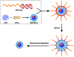 Graphical abstract: pH-sensitive ternary nanoparticles for nonviral gene delivery
