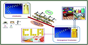 Graphical abstract: Double bond isomerization of ethyl linoleate and vegetable oils to conjugated derivatives over an LDH supported ruthenium catalyst