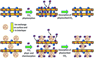 Graphical abstract: Selective capture of CO2 by poly(amido amine) dendrimer-loaded organoclays