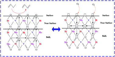 Graphical abstract: Oxidative dehydrogenation of 1-butene over vanadium modified bismuth molybdate catalyst: an insight into mechanism