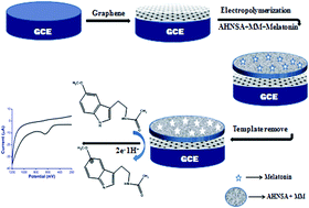 Graphical abstract: Graphene and Co-polymer composite based molecularly imprinted sensor for ultratrace determination of melatonin in human biological fluids