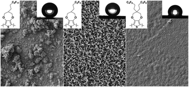 Graphical abstract: Controlling electrodeposited conducting polymer nanostructures with the number and the length of fluorinated chains for adjusting superhydrophobic properties and adhesion