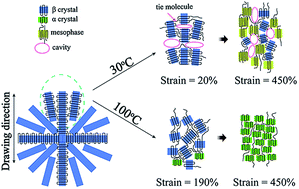 Graphical abstract: A WAXS/SAXS study on the deformation behavior of β-nucleated propylene–ethylene random copolymer subjected to uniaxial stretching