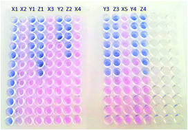 Graphical abstract: A bluish-green emitting organic compound methyl 3-[(E)-(2-hydroxy-1-naphthyl)methylidene]carbazate: spectroscopic, thermal, fluorescence, antimicrobial and molecular docking studies